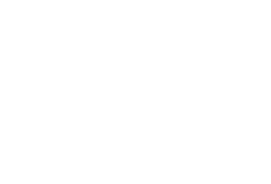 sns reaal logo